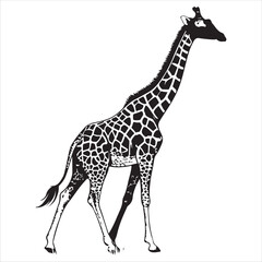Naklejka premium Giraffe Vector