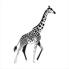 Naklejka premium Giraffe Vector