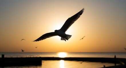 Seagull gliding over the sea at sunrise