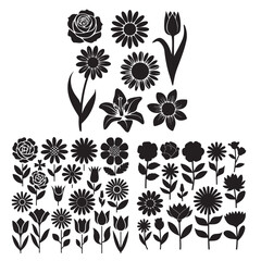 set of floral elements