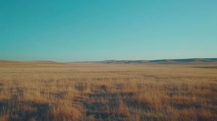 A large grassy field stretches towards distant rolling hills and sky