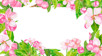 Fototapeta premium Watercolor apple spring flowers, buds and leaves floral frame. Watercolor rectangular border with copy space isolated on white. Sakura, cherry, almond, pear, peach flower.