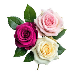 Vibrant Rose Bouquet: A visually stunning arrangement of three roses in full bloom, showcasing a rich color palette. capturing the delicate details and textures of each petal and vibrant hues