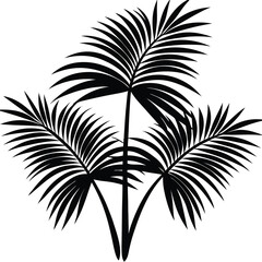 tropical palm fronds vector art design