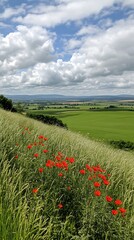 Beautiful field of flowers under a bright blue sky creating a picturesque natural landscape view