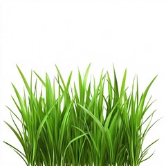 Obraz premium Freshly Cut Green Grass Patches Showcased on an Elegant White Backdrop