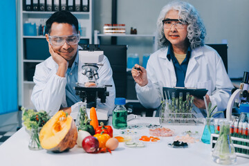 Food scientists using the microscope for research at the university