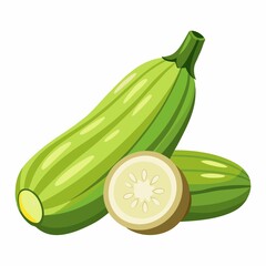 A still life illustration of two green zucchinis and a zucchini slice on a white background