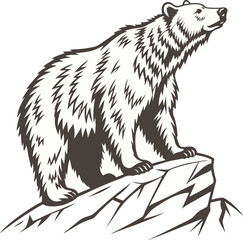 Fototapeta premium vector bear animal art free download.