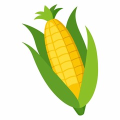 Illustration of an ear of corn with green leaves on a white background in cartoon stylev on a white background