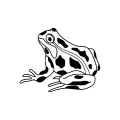 frog with cow print