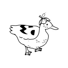 duck with Halloween print