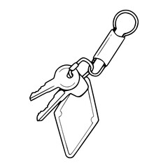 carabiner keychain with key and blank tag