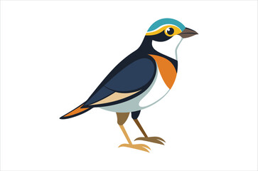 Obraz premium Webbird vector, icon vector illustration, bird silhouette of a bird isolated on a white background, eps, png, svg, vector,