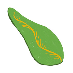 Leaf with yellow veins