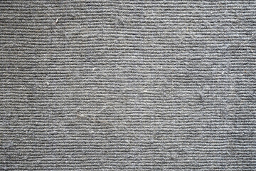 Dirty rug with cat hair and dust in rug. Dirty rug or carpet texture background. The concept of how to remove pet hair and dust in carpet.