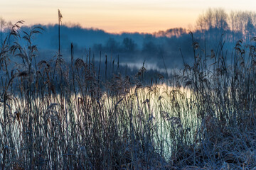 Chlodny poranek nad Stawami Dojlidzkimi, Podlasie, Polska © podlaski49