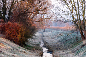 Chlodny poranek nad Stawami Dojlidzkimi, Podlasie, Polska © podlaski49