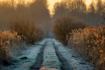Chlodny poranek nad Stawami Dojlidzkimi, Podlasie, Polska © podlaski49