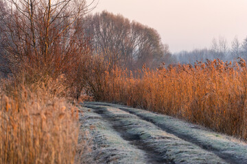 Chlodny poranek nad Stawami Dojlidzkimi, Podlasie, Polska © podlaski49