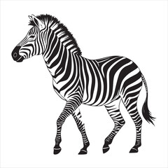 Zebra Vector 