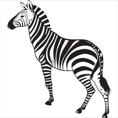 Zebra Vector 