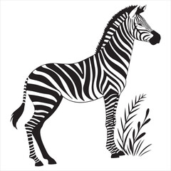 Zebra Vector 