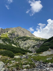 Looking up to a mountain peak, green bushes, steep cliffs and bright blue cloudy summer sky, High Tatra mountains, Slovakia
