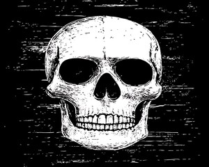 Hand-drawn skull on dark wood texture background.