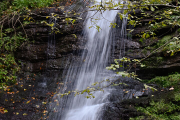 Laznyi Waterfall in Carpathian mountains, Ukraine. Stream with clear frothy water flowing down mossy rocks. Beautiful autumn landscape, green forest, tree branches.