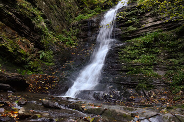 Laznyi Waterfall in Carpathian mountains, Ukraine. Large stream with clear frothy water flowing down moss-covered rocks. Beautiful autumn landscape, woodland, golden leaves on dark stones. 