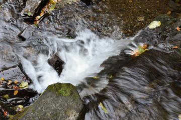 Laznyi Waterfall. Mountain stream with clear frothy water, mossy rocks, colorful fallen leaves. Beautiful nature of Carpathians.