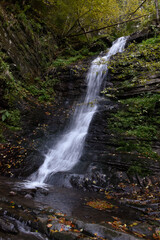 Laznyi Waterfall in Carpathian mountains, Ukraine. Large stream with clear frothy water flowing down moss-covered rocks. Beautiful autumn landscape, woodland, golden leaves on dark stones. 