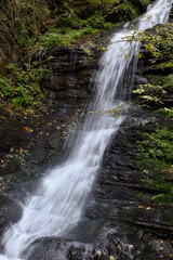 Laznyi Waterfall in Carpathian mountains, Ukraine. Large stream with clear frothy water flowing down moss-covered rocks. Beautiful autumn landscape, woodland, golden leaves on dark stones. 