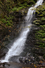 Laznyi Waterfall in Carpathian mountains, Ukraine. Large stream with clear frothy water flowing down moss-covered rocks. Beautiful autumn landscape, woodland, golden leaves on dark stones. 
