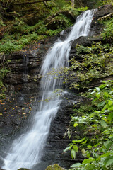 Laznyi Waterfall in Carpathian mountains, Ukraine. Large stream with clear frothy water flowing down moss-covered rocks. Beautiful autumn landscape, woodland, golden leaves on dark stones. 
