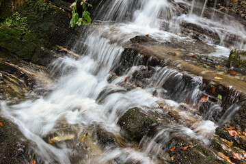 Laznyi Waterfall in Carpathian mountains, Ukraine. Stream with clear frothy water flowing among stepped rocks. Beautiful autumn landscape, woodland, colorful leaves on stones. 