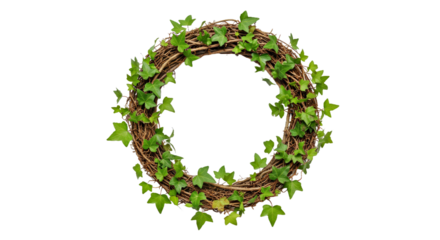 A Rustic Ivy Wreath With a Mix of Fresh and Slightly Dried Green Leaves, Adding Texture and Depth-