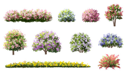 set of flowers, Vector of tree or blooming  side view isolated on white background ,watercolor tree elevation for landscape concept,environment scene,eco design,blossom garden for spring