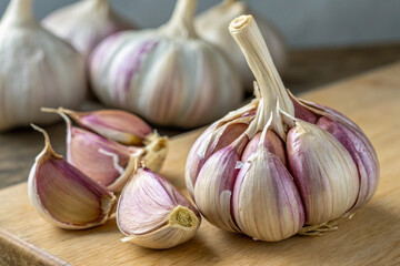 Obraz premium Garlic. Plant. Good for you. Energizing.