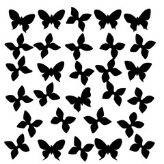 Butterfly vector 15