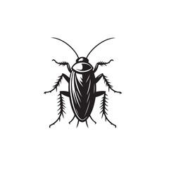 black cockroach isolated on white background