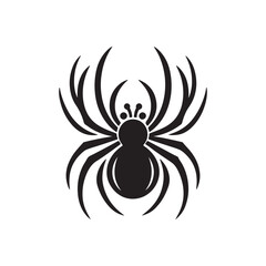 black and white spider