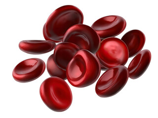 Floating Red Blood Cells in a White Background