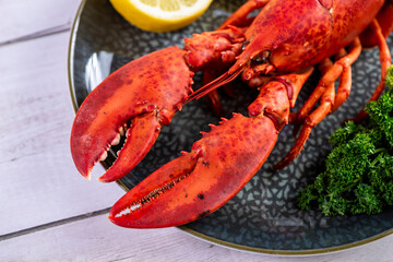 Close up of fresh steamed lobster with herbs