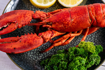 Close up of fresh steamed lobster with herbs