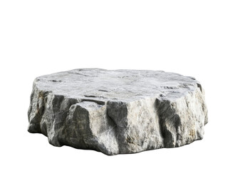 Large Circular Gray Rock with Rough Textured Surface
