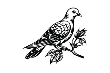 dove vector,  icon vector illustration, dove silhouette of a dove isolated on a white background, eps, png, svg, vector,