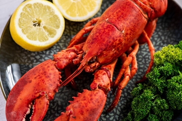 Close up of fresh steamed lobster with herbs