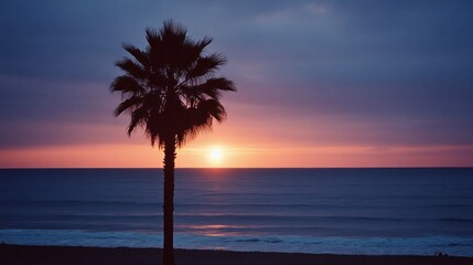 A palm tree silhouetted against a beautiful sunset over the ocean